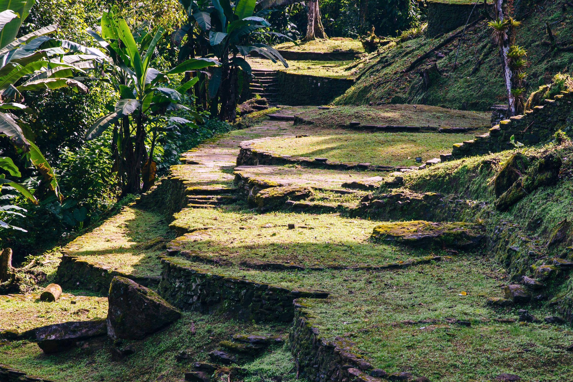 Escalinatas de piedra cubiertas de musgo que suben entre terrazas en Ciudad Perdida, con luz filtrada por la selva.