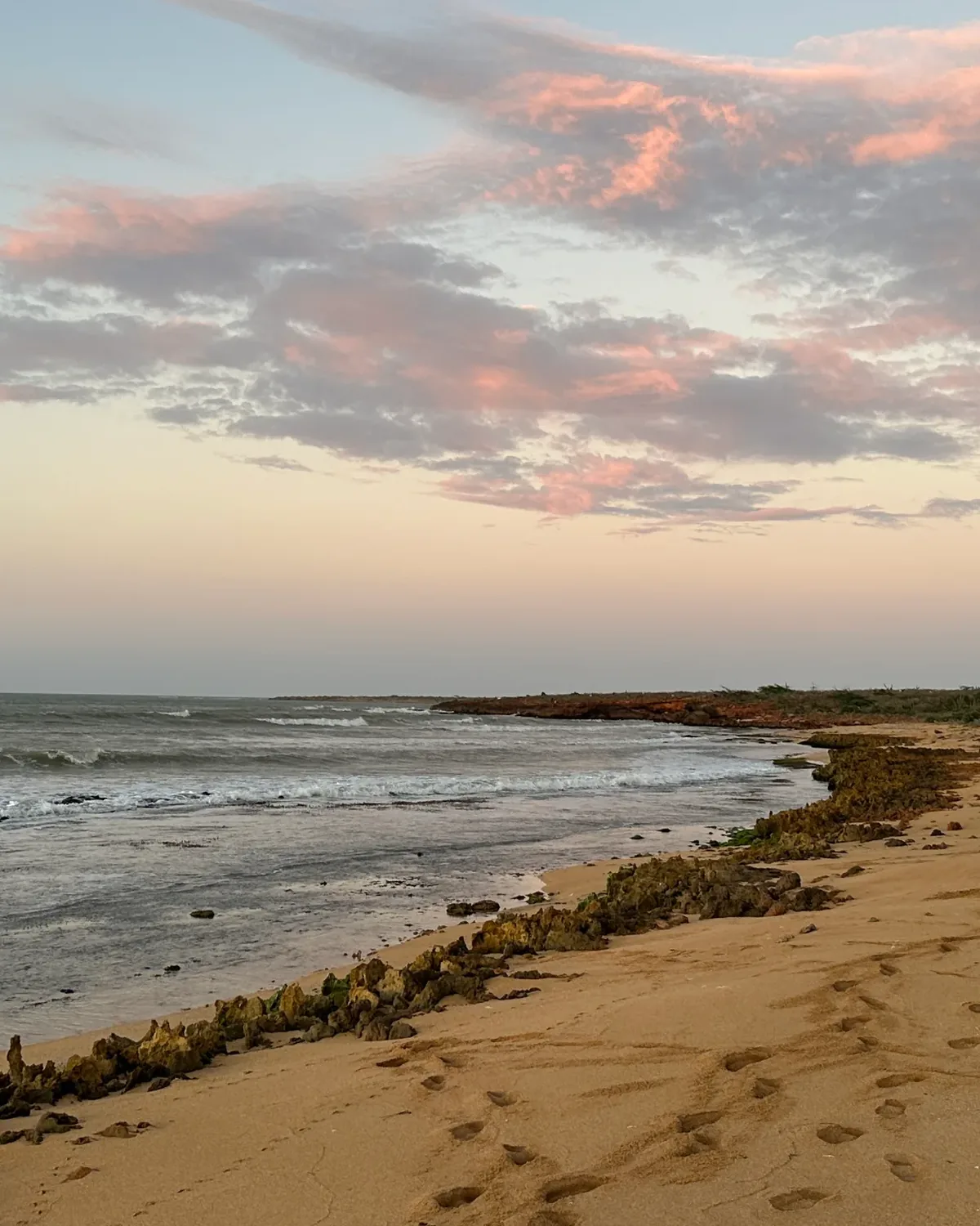 A sandy beach at dusk under pink clouds, with a curving shoreline edged by a line of rocks and footprints in the sand, in La Guajira.