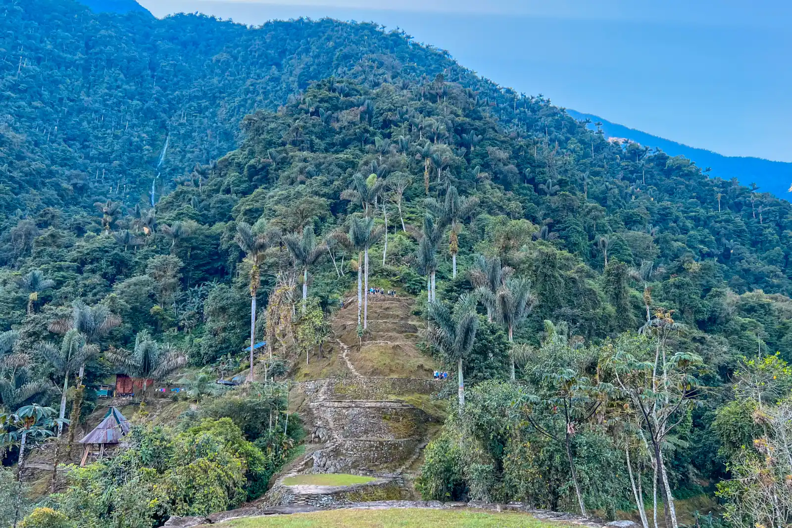 A forested slope with palms and, at the center, the stone terraces and stairways of Ciudad Perdida (Teyuna), with a thatched hut on the left.