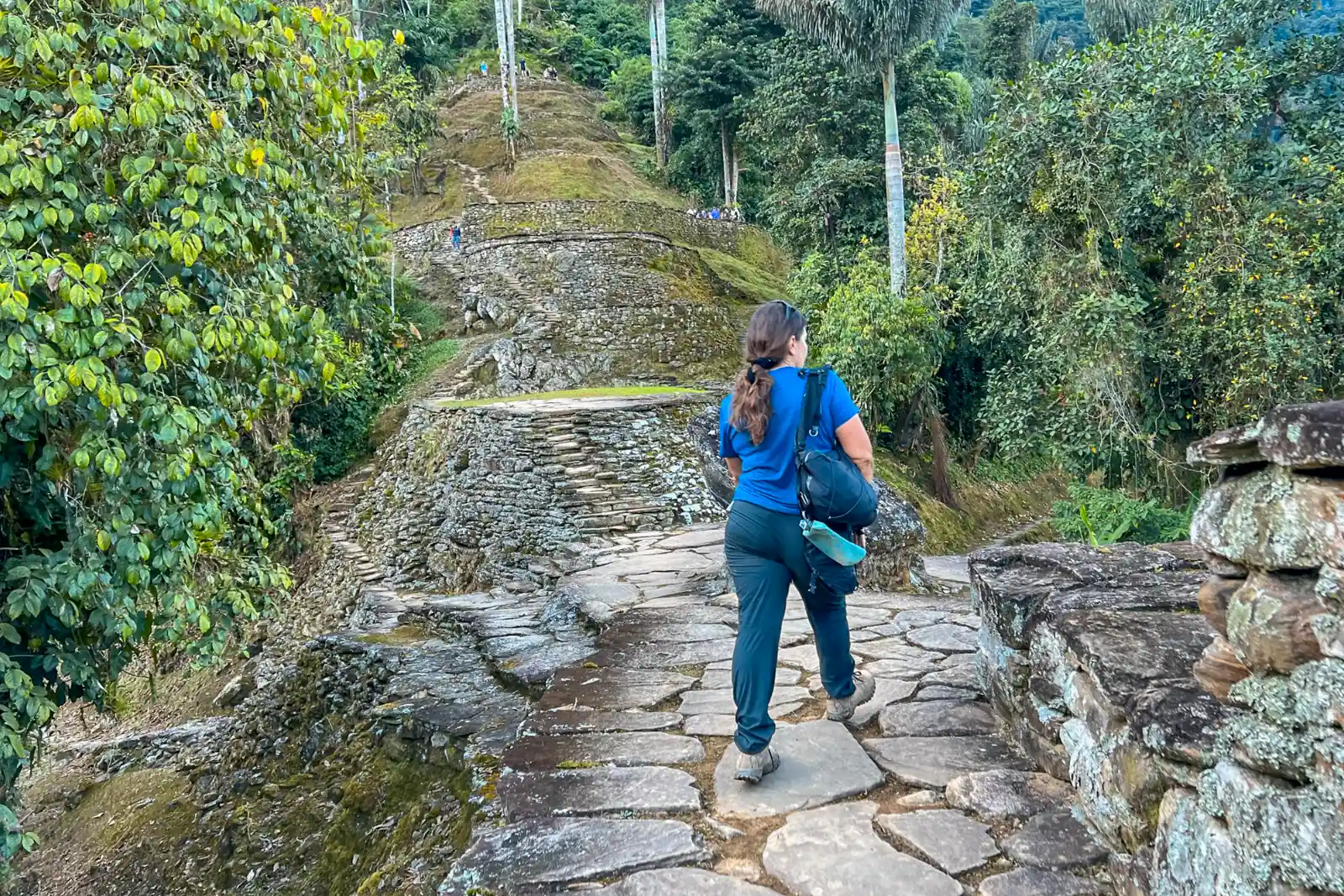 A hiker seen from behind walks up a flagstone path between moss-covered terrace walls, surrounded by forest and palms.