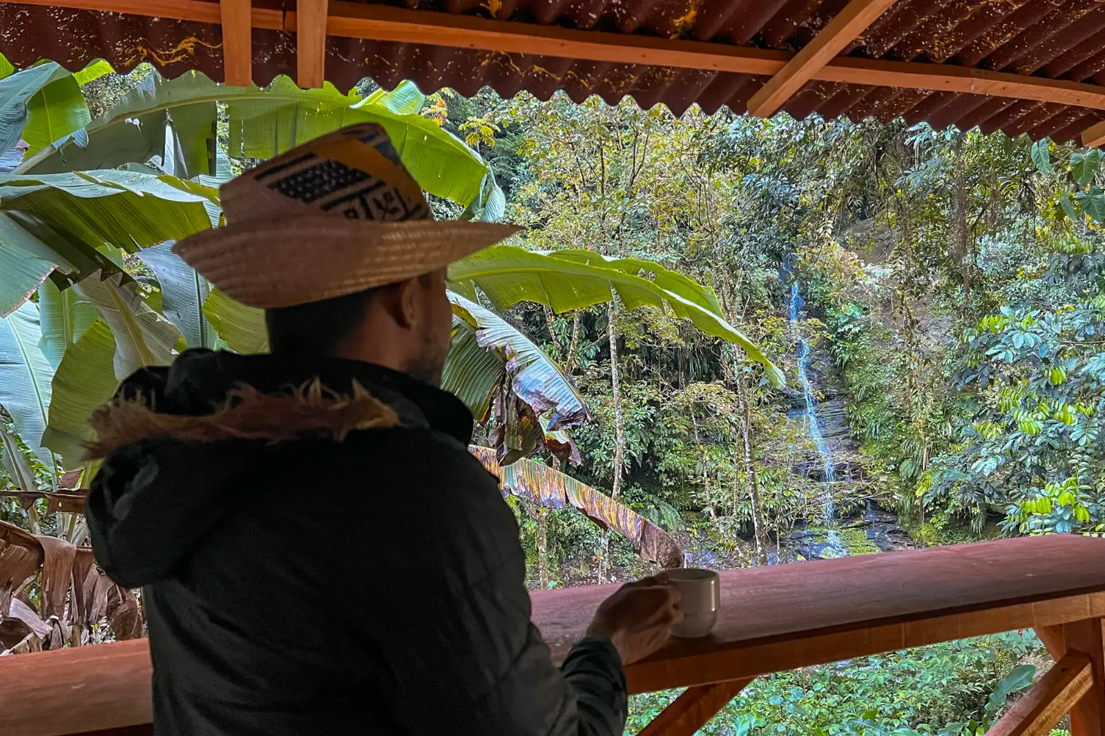 A person seen from behind wearing a sombrero vueltiao and holding a cup, on a wooden balcony facing a waterfall in the forest.
