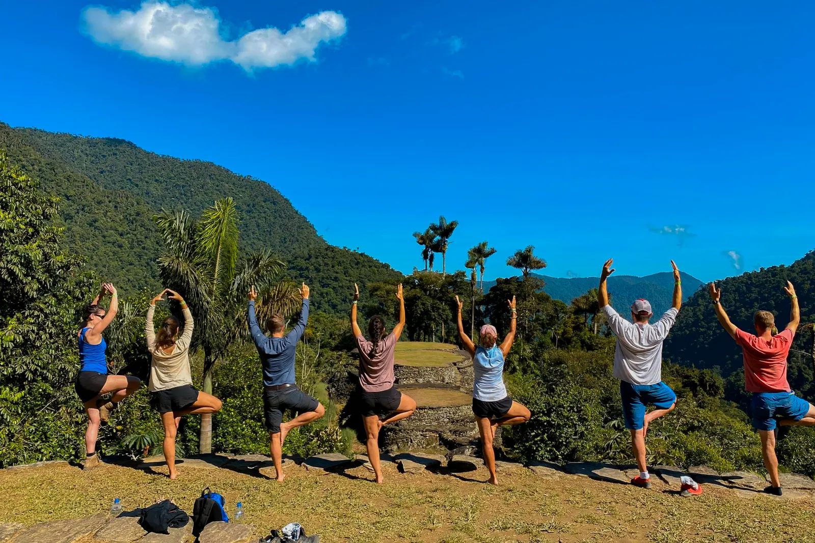 Seven hikers seen from behind in tree pose with arms raised, on a grassy terrace facing forested mountains and a blue sky.