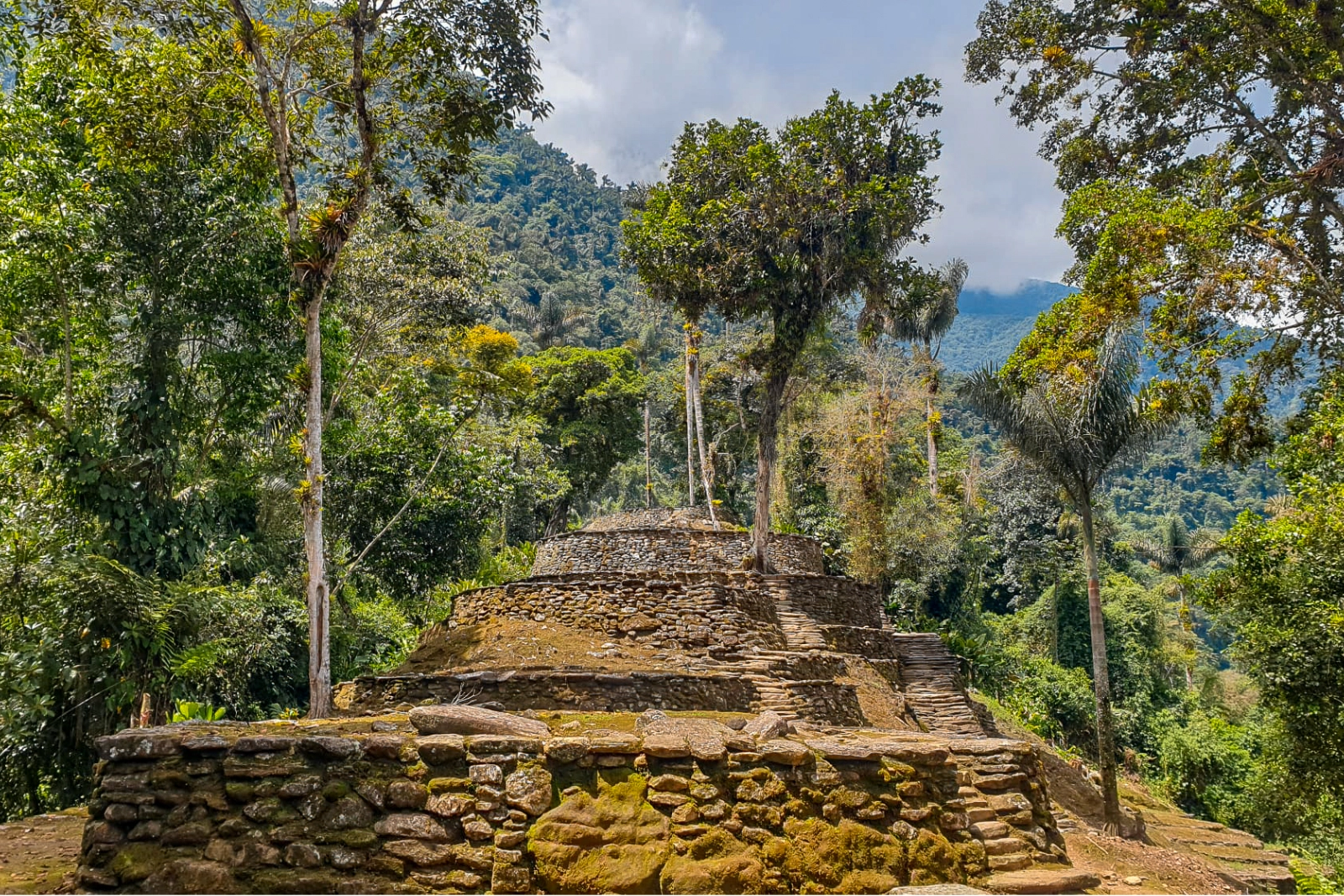 Stone terraces and steps of Ciudad Perdida (Teyuna) among tall trees, with forested mountains and clouds in the background.