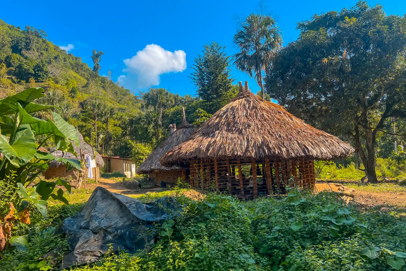 A round hut with a palm-thatched roof and pole walls in a clearing with banana plants and palms, beside a large rock under a blue sky.
