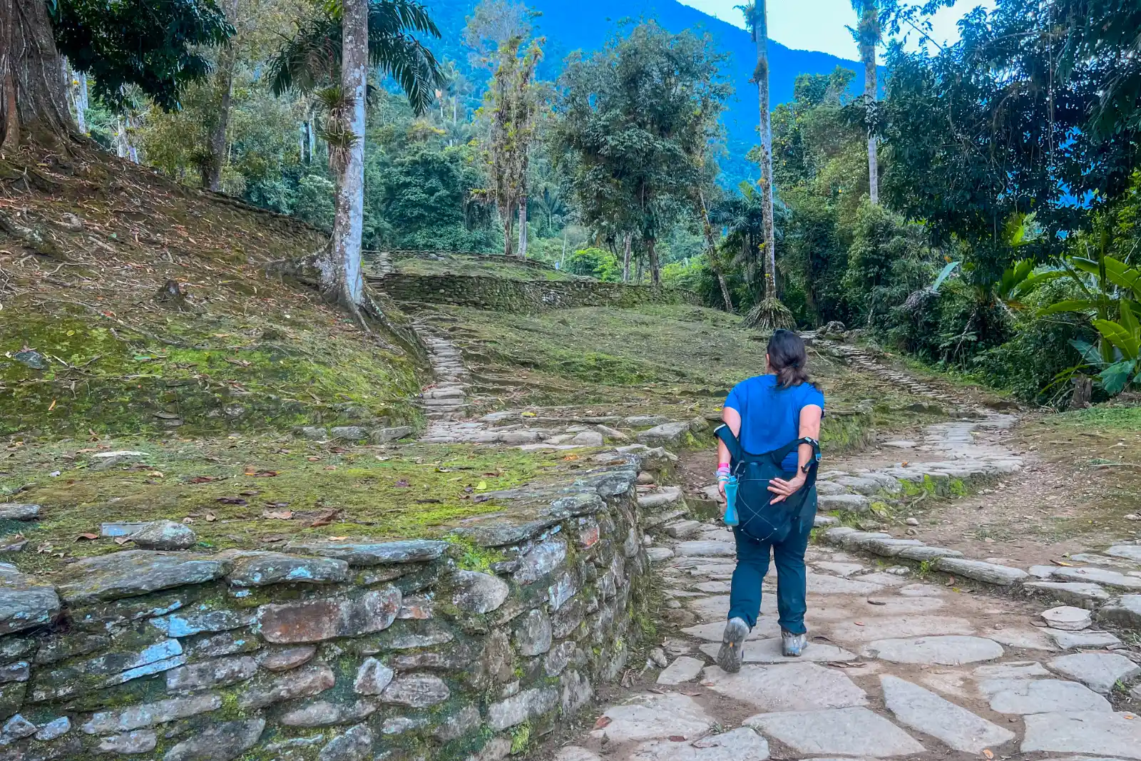 A hiker seen from behind walks along a stone path between terrace walls and grass, with tall trees and a blue sky beyond.