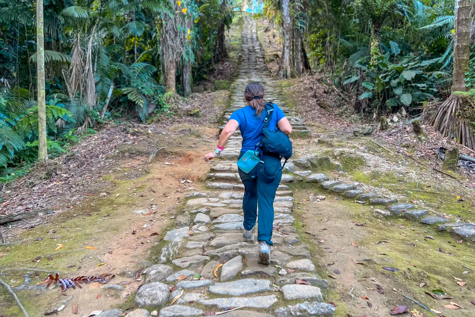 A hiker seen from behind climbs a long, straight cobbled path through the forest, lined with palms and tall trees.