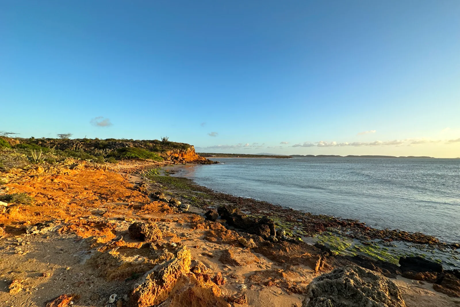 Côte de roche ocre et rougeâtre couverte d'algues vertes au bord d'une mer calme, falaises basses et broussailles dans la lumière dorée du soir.