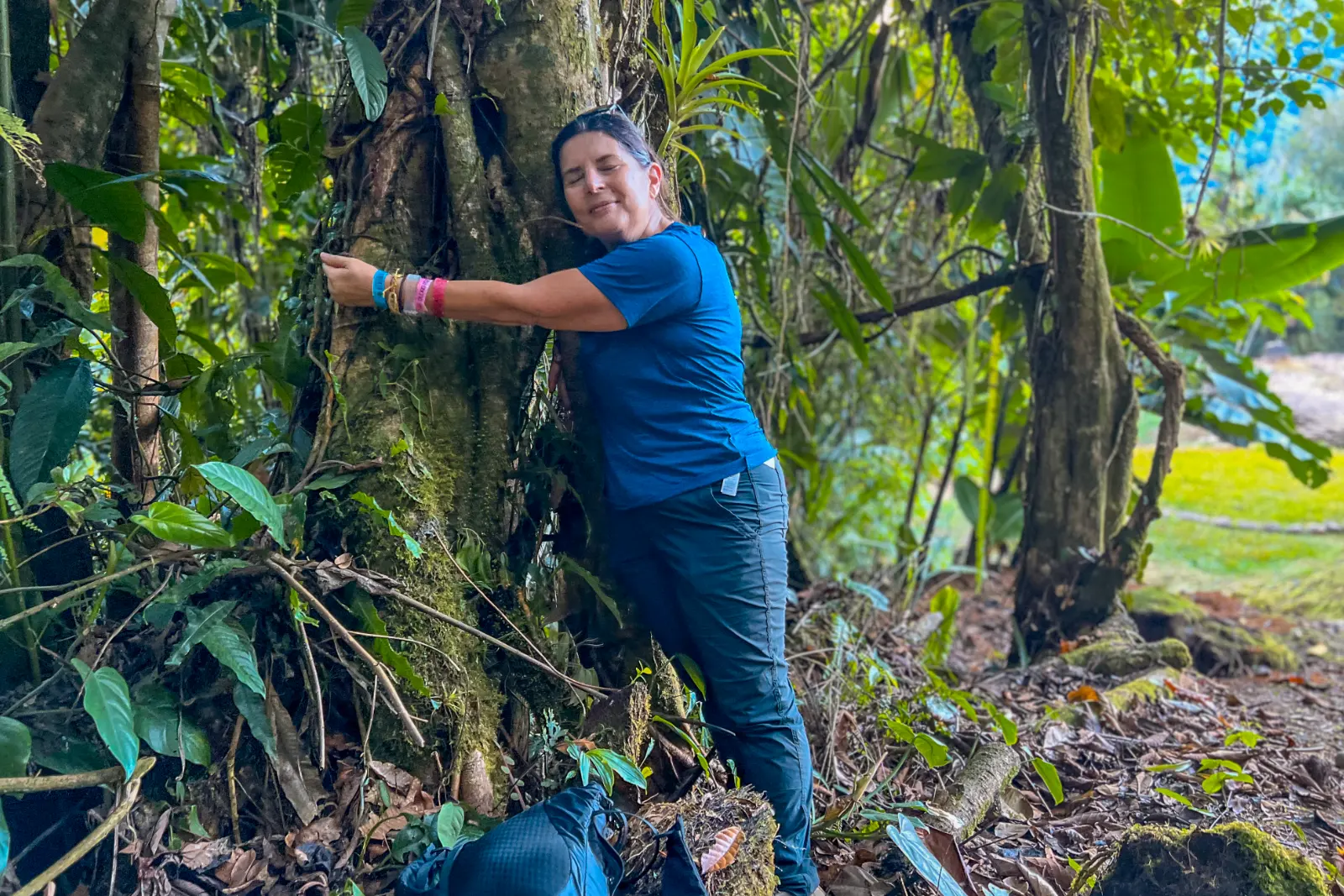 A hiker in a blue T-shirt hugs the trunk of a large tree in the forest and smiles at the camera, among ferns and leaves.
